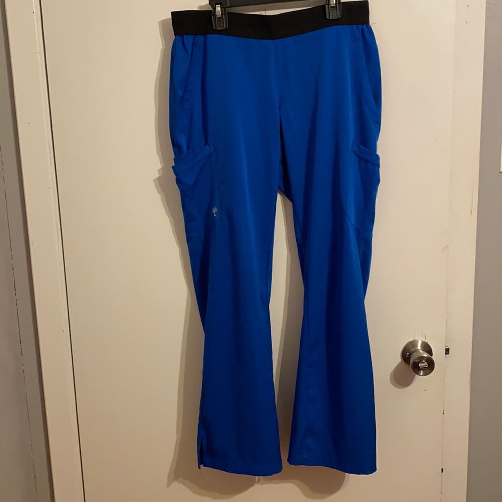 HH Works by Healing Hands Scrub Pants! Excellent used condition!